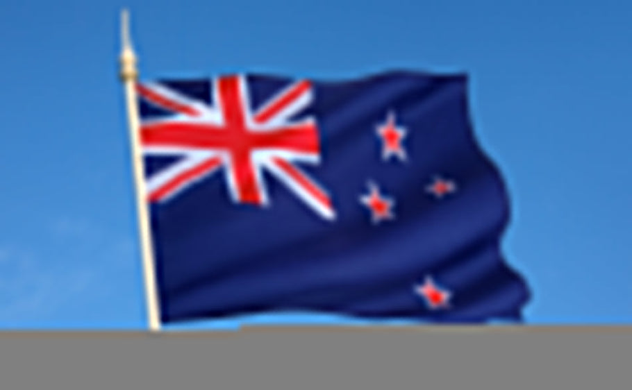 Renting a Car in New Zealand with a U.S. License – Complete Guide
