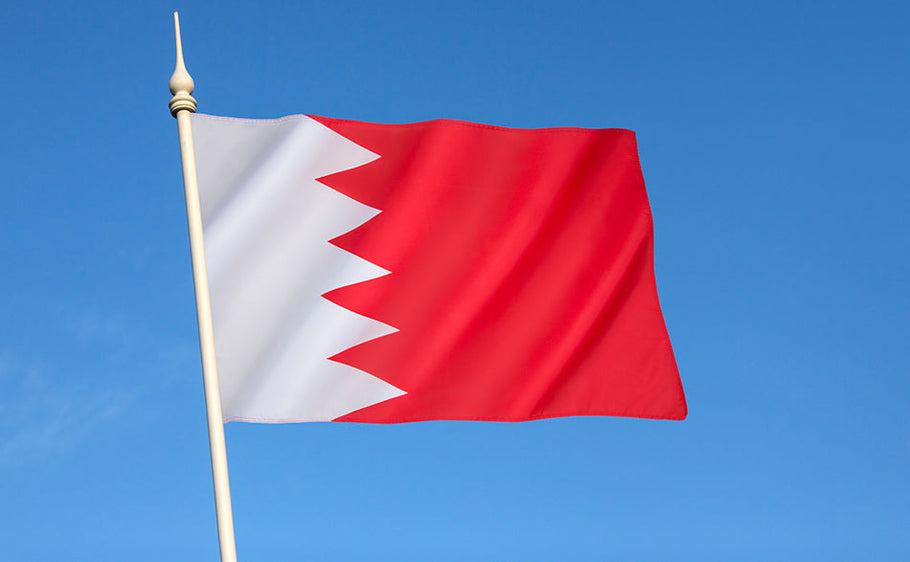 The Driving License in Bahrain: Can You Drive with a Foreign License?