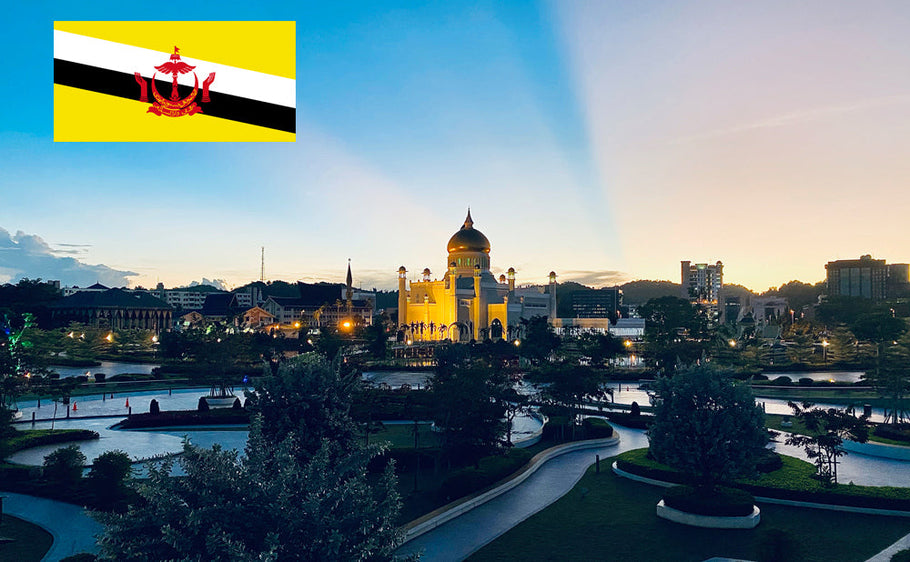 Licencia de conducir internacional en Brunei