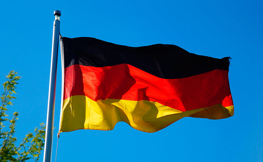 Obtain an International License for Germany