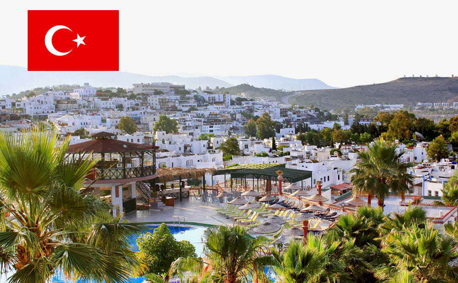 Documento internacional en Turquía