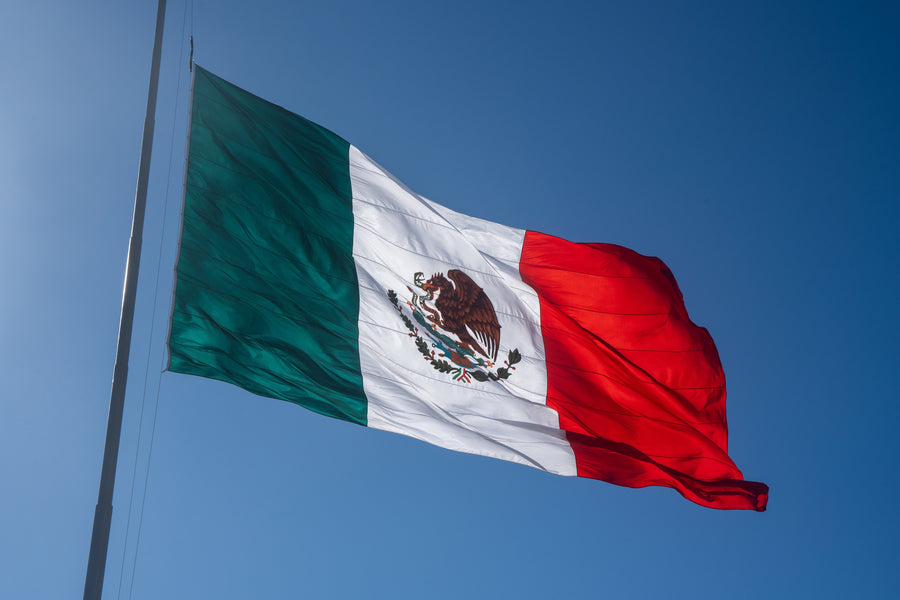 Can I Drive to Mexico Without a Passport?