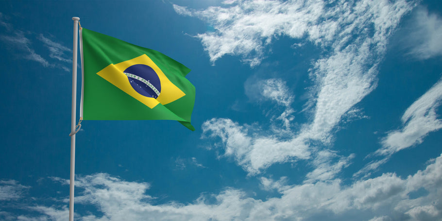 Driver’s License in Brazil: Essential Guide for International Travelers