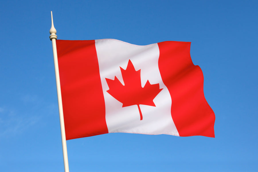 Driving in Canada with a Foreign License