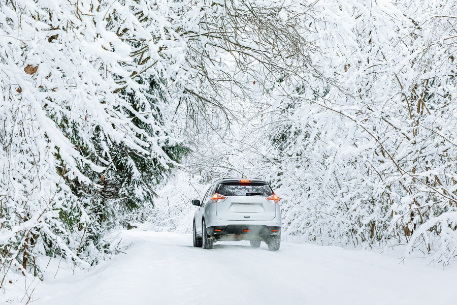 Driving in Different Weather Conditions Around the World