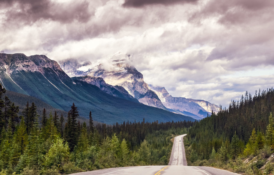 Exploring National Parks Abroad: A Driver’s Guide