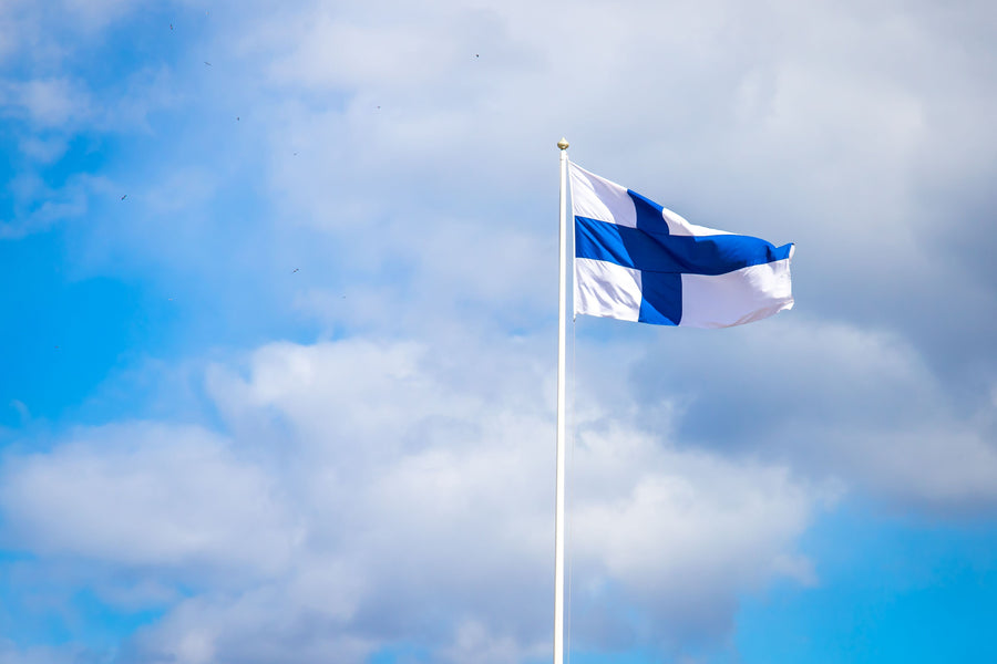 Driver’s License in Finland: A Comprehensive Guide for Travelers