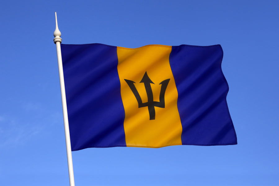 É possível dirigir em Barbados com uma carteira de motorista estrangeira?