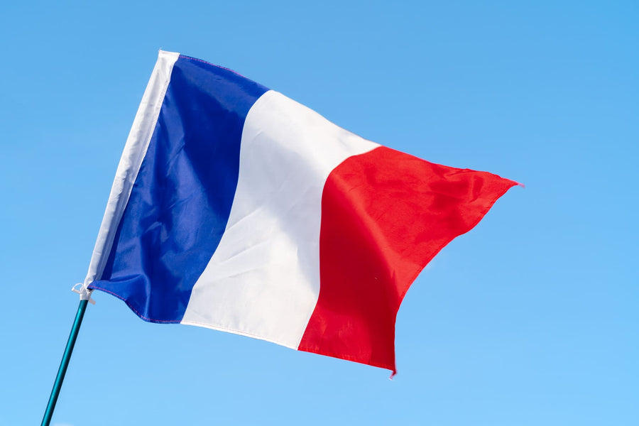 France Travel: International Driver’s License