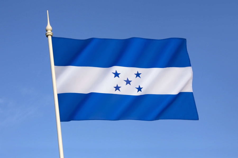 Driver's License in Honduras: What International Travelers Need to Know