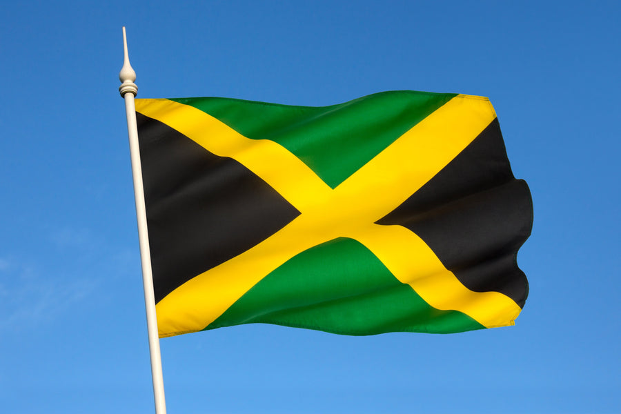 Can Someone Drive in Jamaica with a Foreign Driving License?