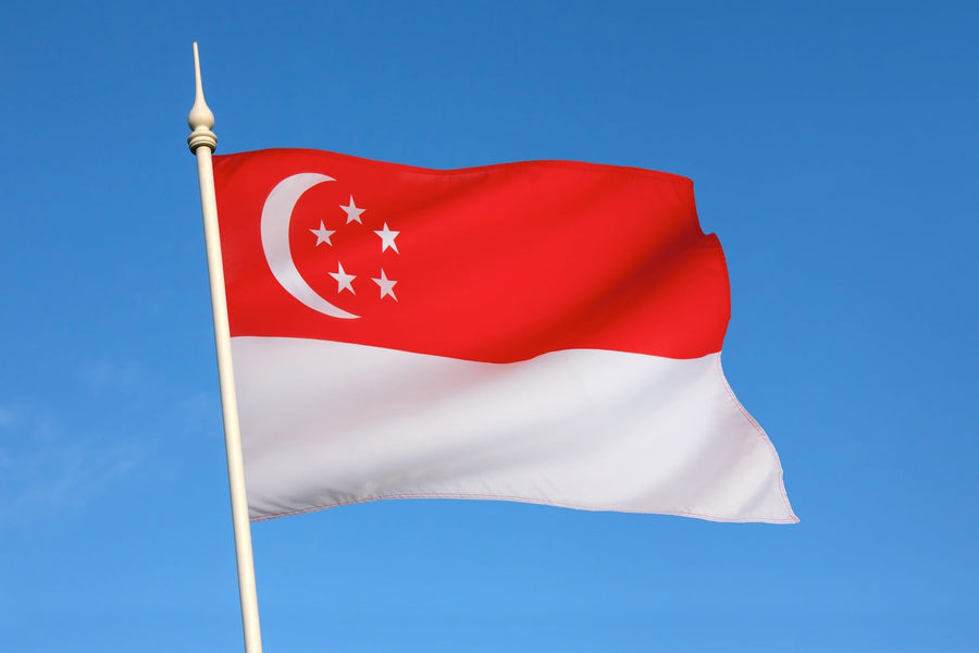 singapore Travel: Obtaining an International Driver’s License
