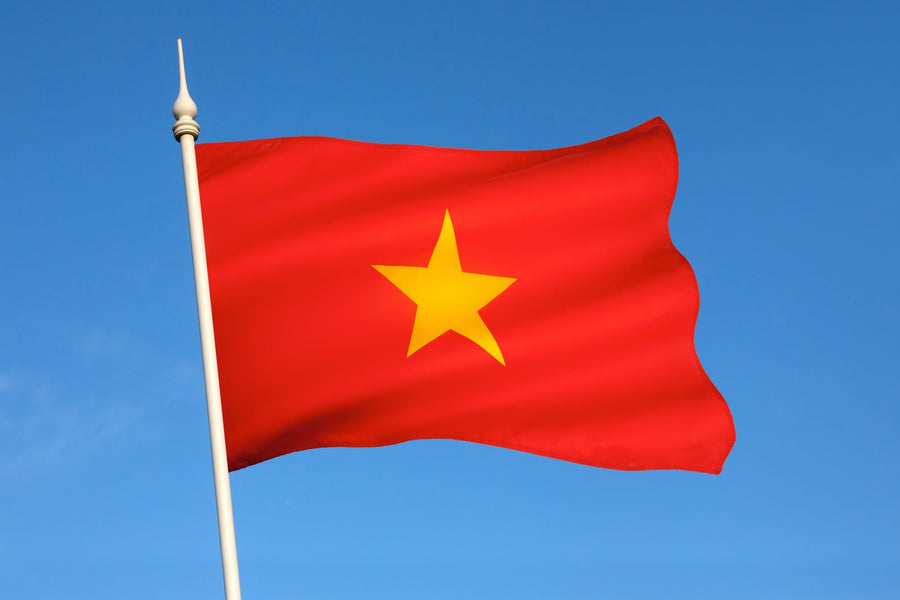 Vietnam Travel: Obtaining an International Driver’s License