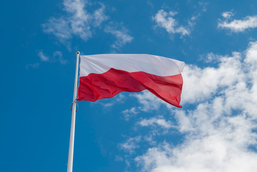 Driver’s License in Poland (Complete Guide for Travelers Who Want to Rent a Car)