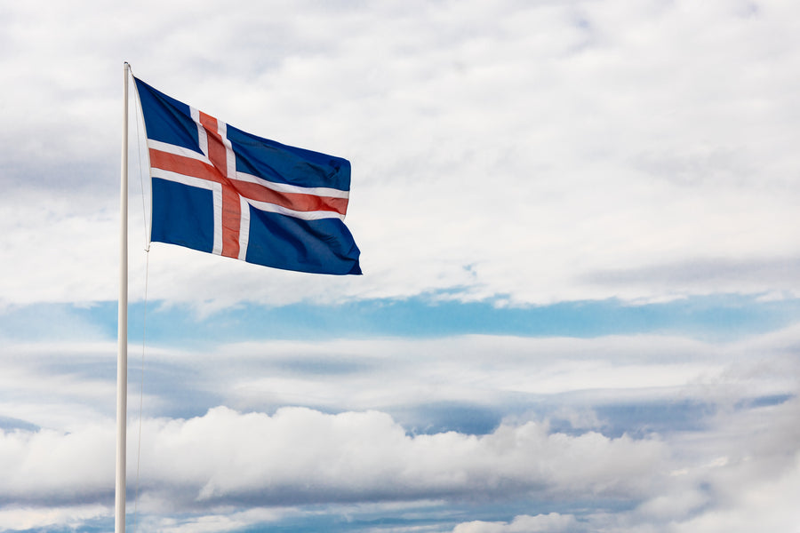Can I drive in Iceland with US license?