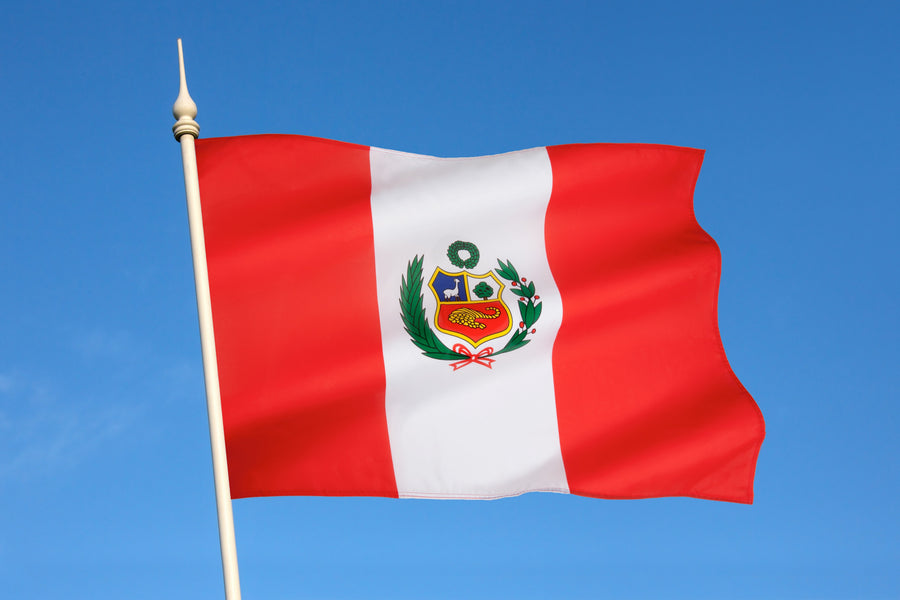 Can I Drive in Peru with a US License?