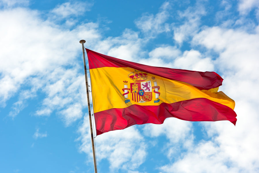 Do You Need an International Driver’s License in Spain?
