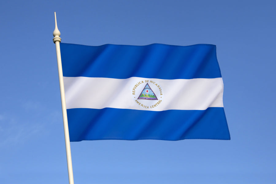 Driver's License in Nicaragua: A Guide for International Travelers Renting Cars