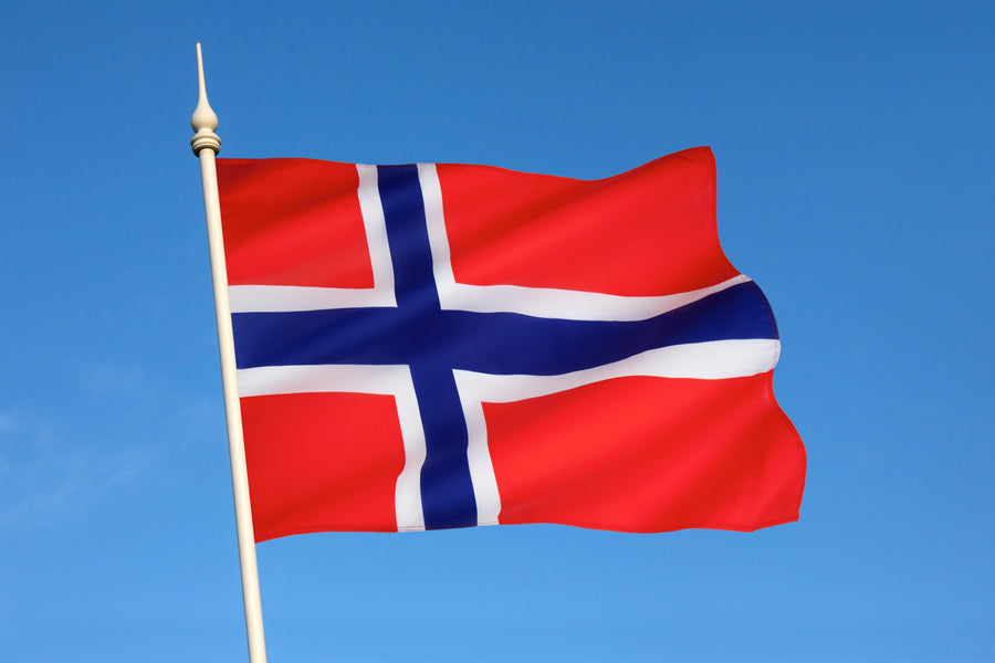 Can Someone Drive in Norway with a Foreign License?