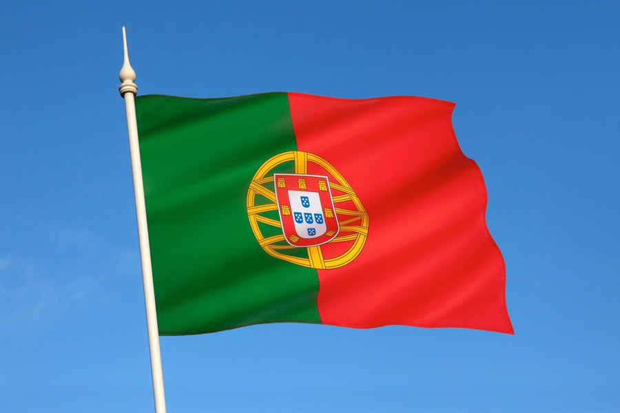 Guide to Getting an IDL for Portugal Travel