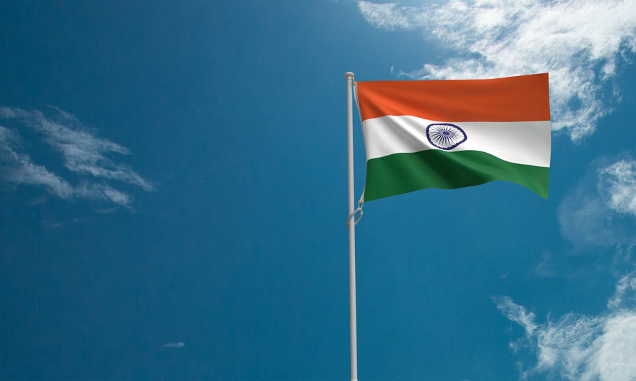 Driving in India with US license