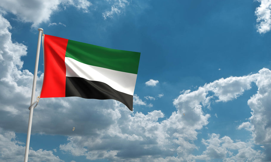 How to Drive in The United Arab Emirates?