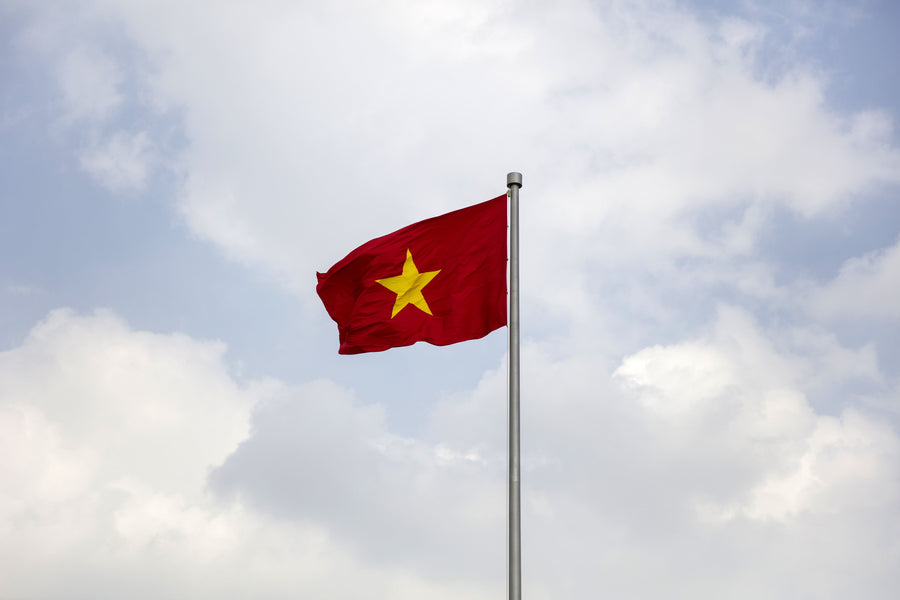 Driver's License in Vietnam