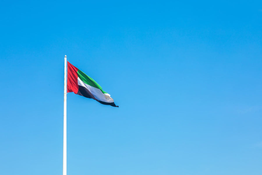 How to obtain an International Driver's License for Traveling to United Arab Emirates